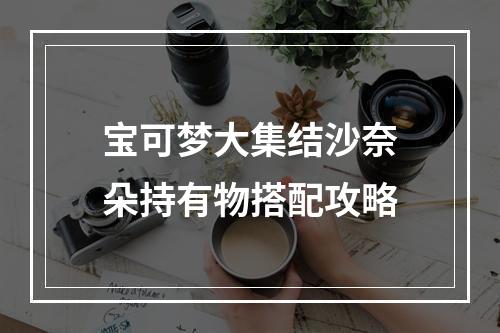 宝可梦大集结沙奈朵持有物搭配攻略