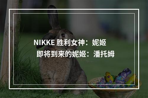 NIKKE 胜利女神：妮姬  即将到来的妮姬：潘托姆