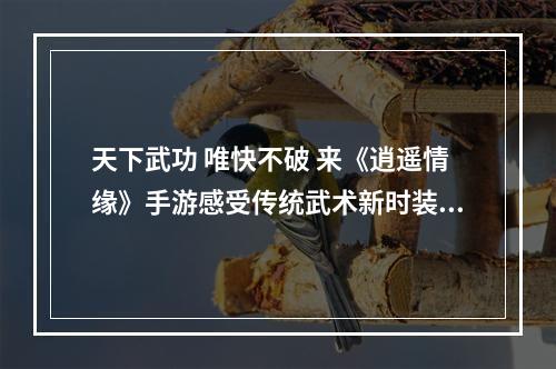 天下武功 唯快不破 来《逍遥情缘》手游感受传统武术新时装的魅力