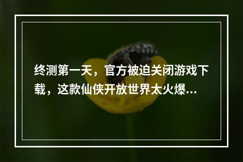 终测第一天，官方被迫关闭游戏下载，这款仙侠开放世界太火爆了