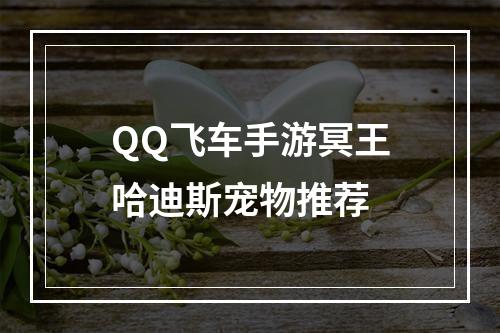 QQ飞车手游冥王哈迪斯宠物推荐