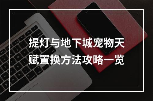 提灯与地下城宠物天赋置换方法攻略一览