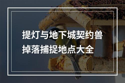 提灯与地下城契约兽掉落捕捉地点大全