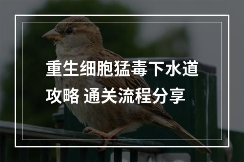 重生细胞猛毒下水道攻略 通关流程分享