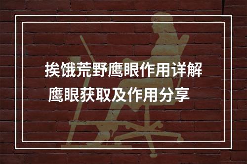 挨饿荒野鹰眼作用详解 鹰眼获取及作用分享