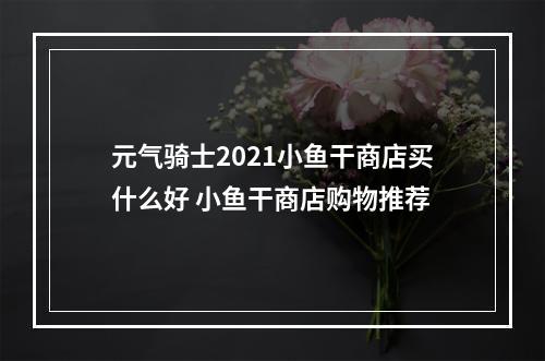 元气骑士2021小鱼干商店买什么好 小鱼干商店购物推荐