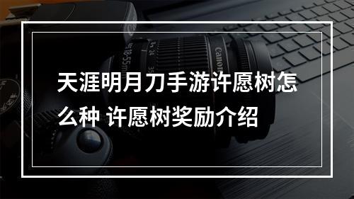 天涯明月刀手游许愿树怎么种 许愿树奖励介绍