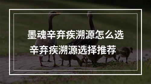 墨魂辛弃疾溯源怎么选 辛弃疾溯源选择推荐