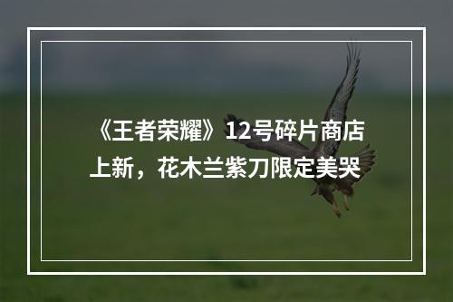 《王者荣耀》12号碎片商店上新，花木兰紫刀限定美哭