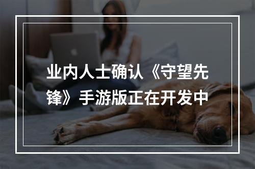 业内人士确认《守望先锋》手游版正在开发中