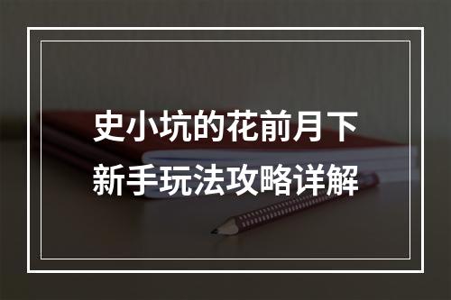 史小坑的花前月下新手玩法攻略详解