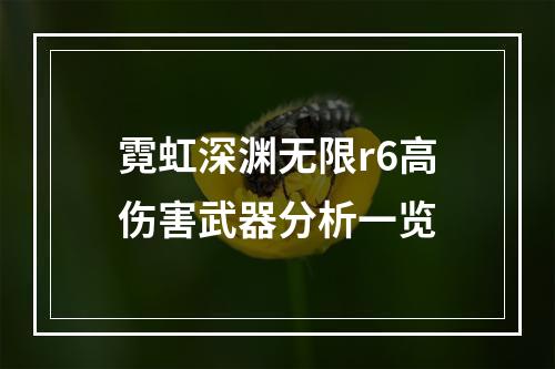 霓虹深渊无限r6高伤害武器分析一览