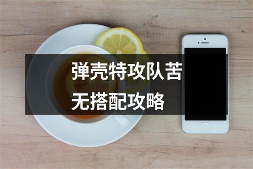 弹壳特攻队苦无搭配攻略