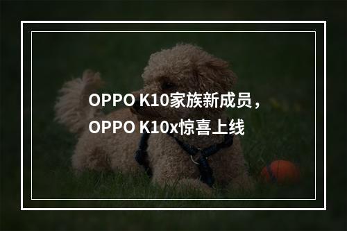 OPPO K10家族新成员，OPPO K10x惊喜上线