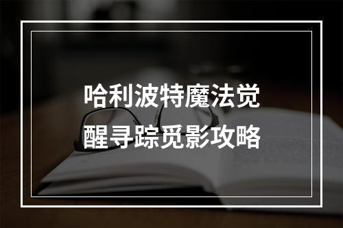 哈利波特魔法觉醒寻踪觅影攻略