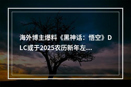 海外博主爆料《黑神话：悟空》DLC或于2025农历新年左右推出