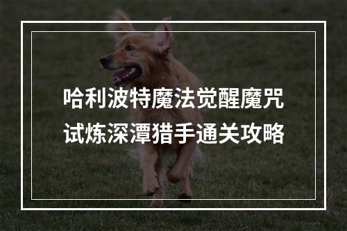 哈利波特魔法觉醒魔咒试炼深潭猎手通关攻略