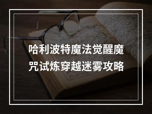 哈利波特魔法觉醒魔咒试炼穿越迷雾攻略