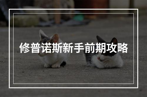 修普诺斯新手前期攻略