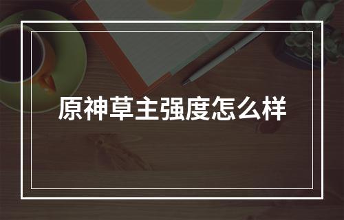 原神草主强度怎么样