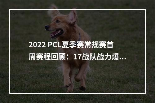 2022 PCL夏季赛常规赛首周赛程回顾：17战队战力爆表领跑榜单