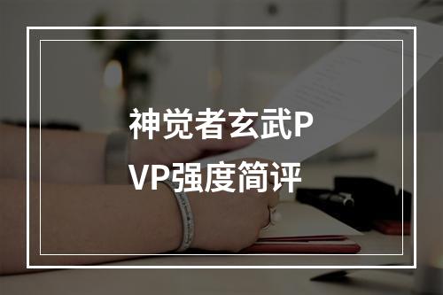 神觉者玄武PVP强度简评