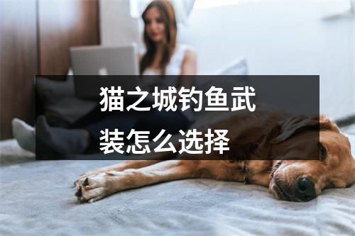 猫之城钓鱼武装怎么选择