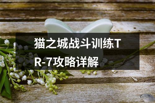 猫之城战斗训练TR-7攻略详解