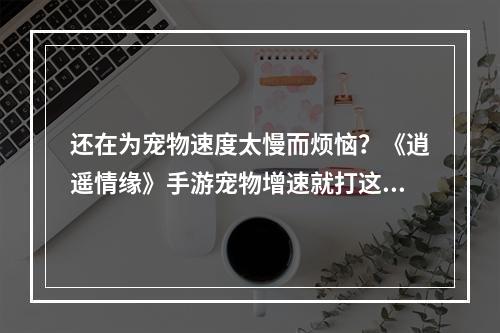 还在为宠物速度太慢而烦恼？《逍遥情缘》手游宠物增速就打这些技能