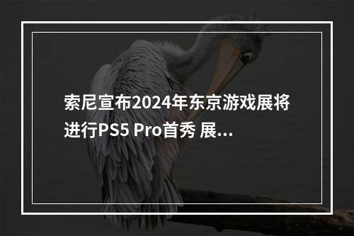 索尼宣布2024年东京游戏展将进行PS5 Pro首秀 展示《最终幻想7：重生》