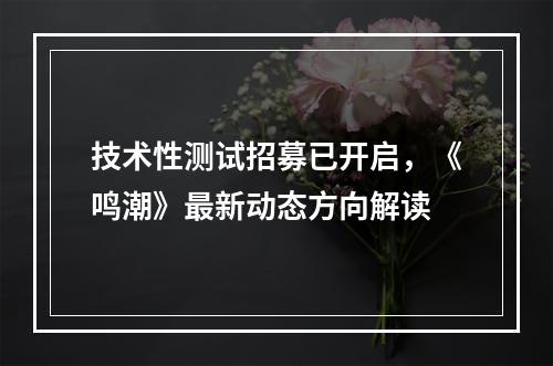 技术性测试招募已开启，《鸣潮》最新动态方向解读