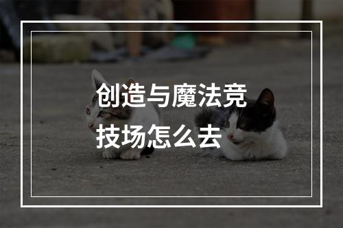 创造与魔法竞技场怎么去