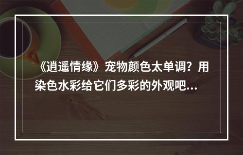 《逍遥情缘》宠物颜色太单调？用染色水彩给它们多彩的外观吧！