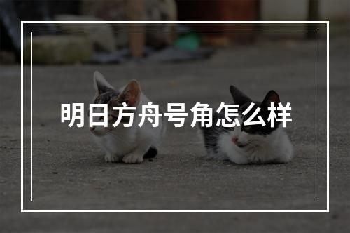 明日方舟号角怎么样