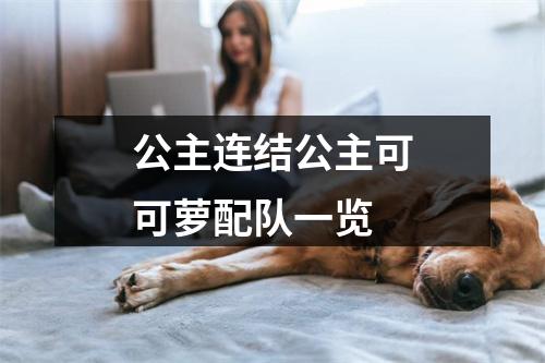 公主连结公主可可萝配队一览