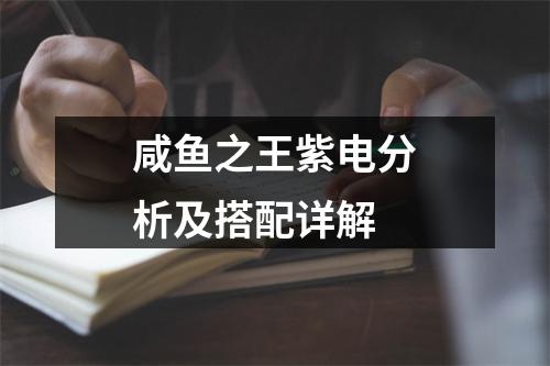 咸鱼之王紫电分析及搭配详解