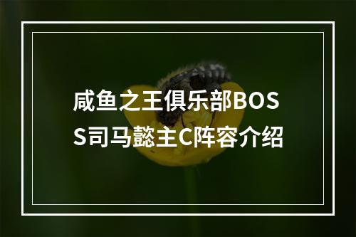 咸鱼之王俱乐部BOSS司马懿主C阵容介绍