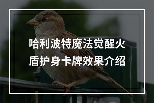 哈利波特魔法觉醒火盾护身卡牌效果介绍