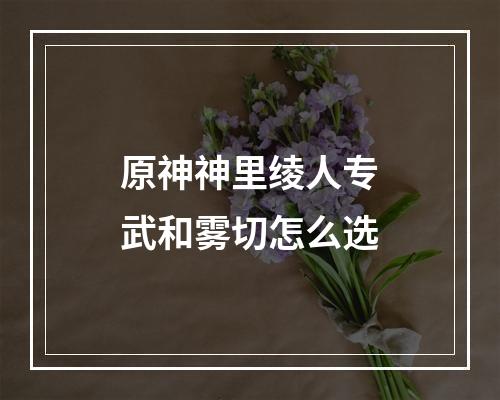 原神神里绫人专武和雾切怎么选