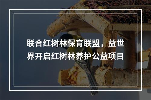 联合红树林保育联盟，益世界开启红树林养护公益项目