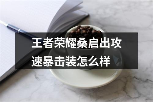 王者荣耀桑启出攻速暴击装怎么样