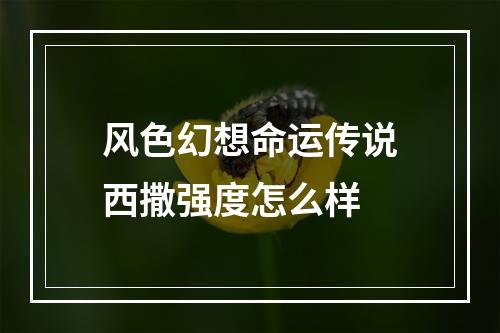 风色幻想命运传说西撒强度怎么样