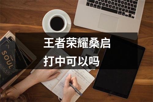 王者荣耀桑启打中可以吗