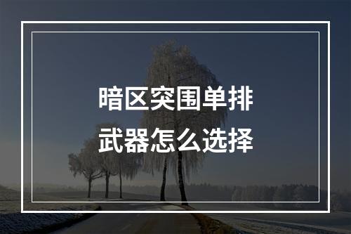 暗区突围单排武器怎么选择