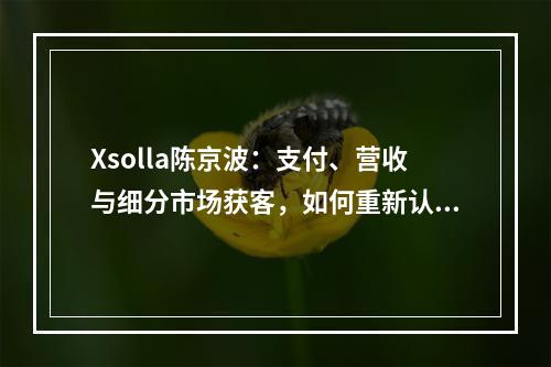 Xsolla陈京波：支付、营收与细分市场获客，如何重新认知游戏出海的几大重点?