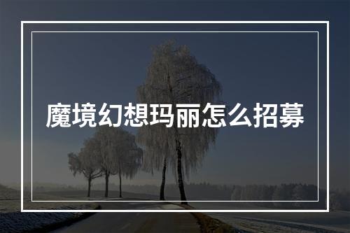 魔境幻想玛丽怎么招募