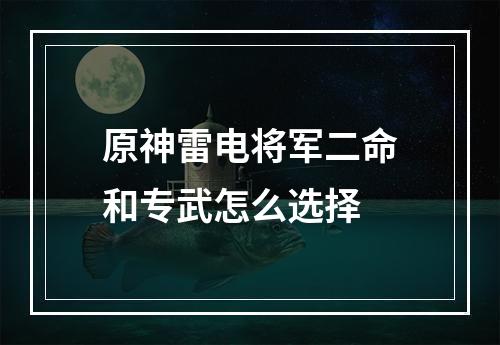 原神雷电将军二命和专武怎么选择