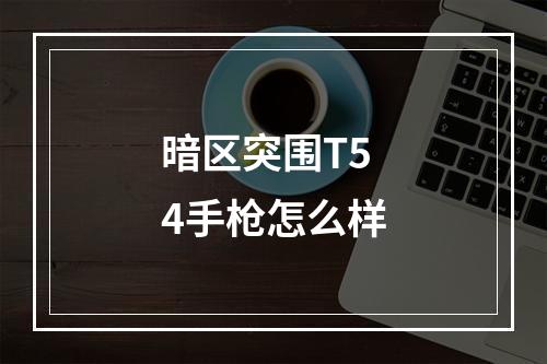 暗区突围T54手枪怎么样