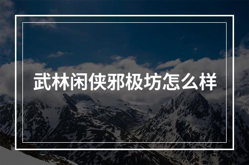 武林闲侠邪极坊怎么样