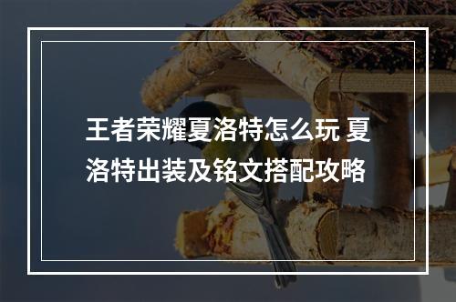 王者荣耀夏洛特怎么玩 夏洛特出装及铭文搭配攻略